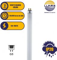 Tubo Flourescente 14w T5 Blanco (fl14bct5)
